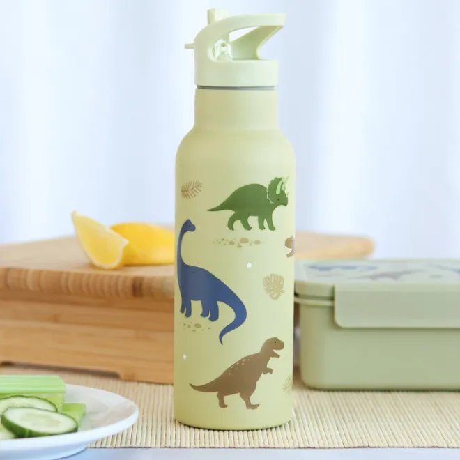 Sale A Little Lovely Company Alex Water Bottle XL dinosaurs