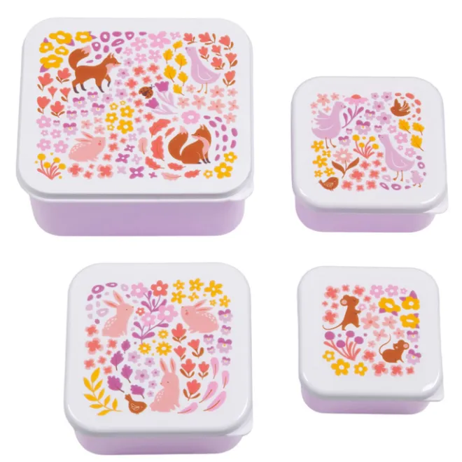 Sale A Little Lovely Company Charlie Lunch & Snack Box flower garden