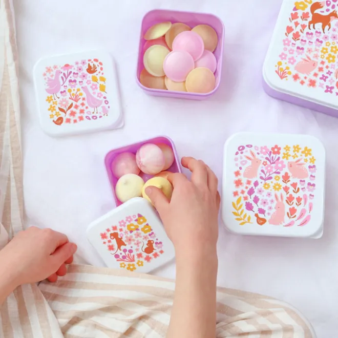 Sale A Little Lovely Company Charlie Lunch & Snack Box flower garden
