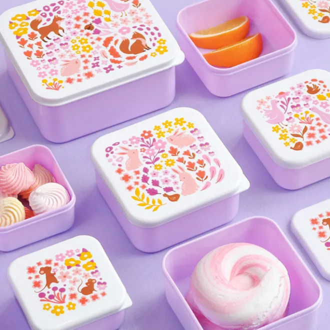 Sale A Little Lovely Company Charlie Lunch & Snack Box flower garden