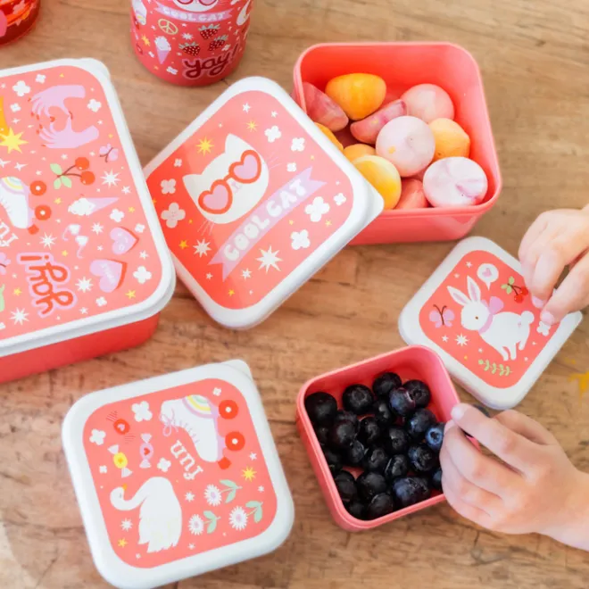 Online A Little Lovely Company Charlie Lunch & Snack Box fun