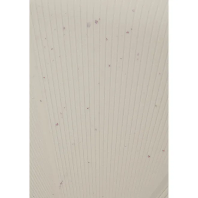 Online American Tourister Starvibe Spinner 77/28 Expandable TSA Ltd cream speckles