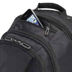 Sale Case Logic Professional Backpack 15.6 inch black