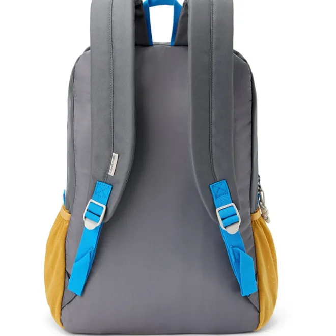 Hot Dakine Educated 30L Backpack playground