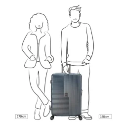 New Decent Tourister Large Trolley 76 taupe