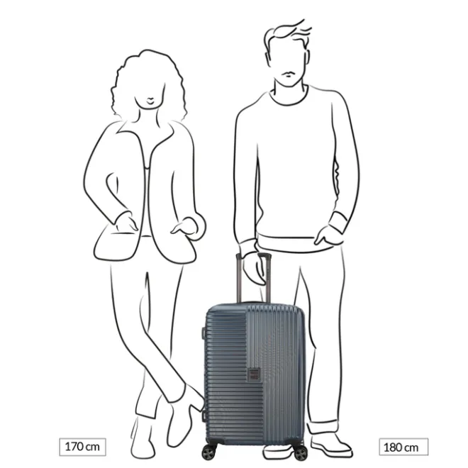 New Decent Tourister Medium Trolley 66 taupe