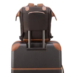 Best Delsey Chatelet Air 2.0 Tote Backpack brown