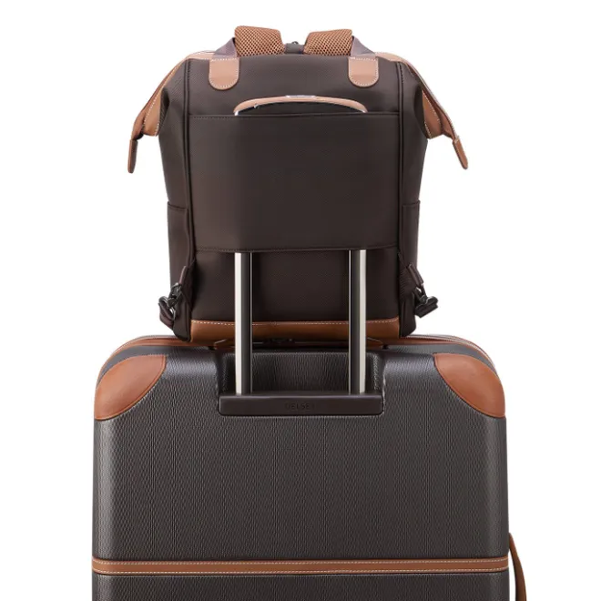 Best Delsey Chatelet Air 2.0 Tote Backpack brown