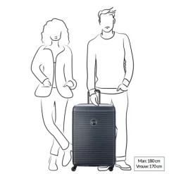 Hot Delsey Freestyle 4 Wheel Trolley 76 graphite