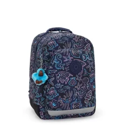 Hot Kipling Class Room disco fish
