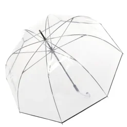 Online Knirps C.760 Stick Transparent solid black