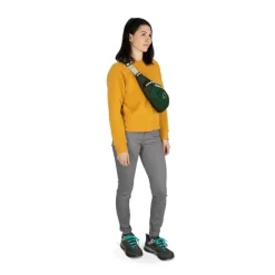 Discount Osprey Daylite Waist blue spikemoss/alkaline
