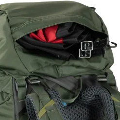 Best Osprey Kestrel 58 L/XL bonsai green