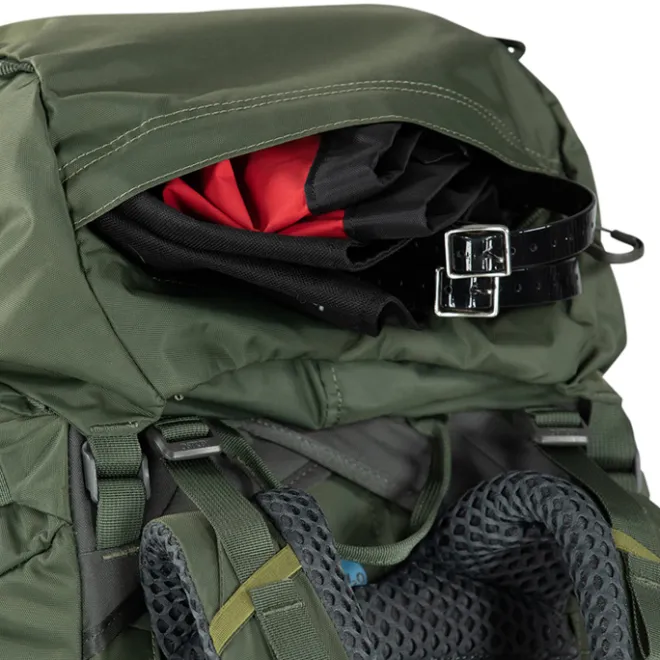 Best Osprey Kestrel 58 L/XL bonsai green