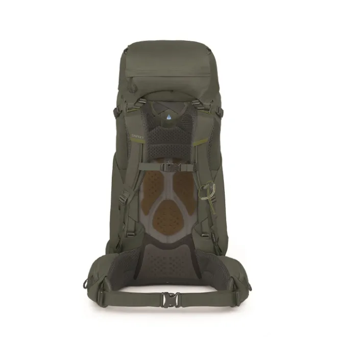 Best Osprey Kestrel 58 L/XL bonsai green
