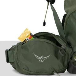 Discount Osprey Kestrel 58 S/M bonsai green