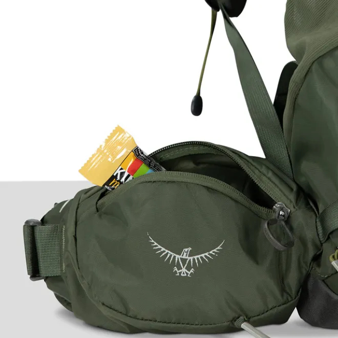 Discount Osprey Kestrel 58 S/M bonsai green
