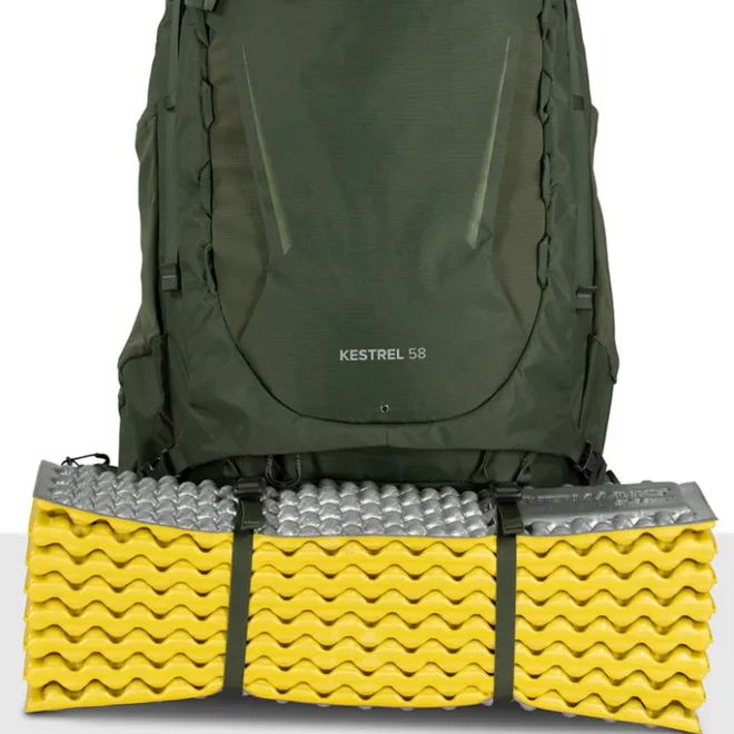 Discount Osprey Kestrel 58 S/M bonsai green