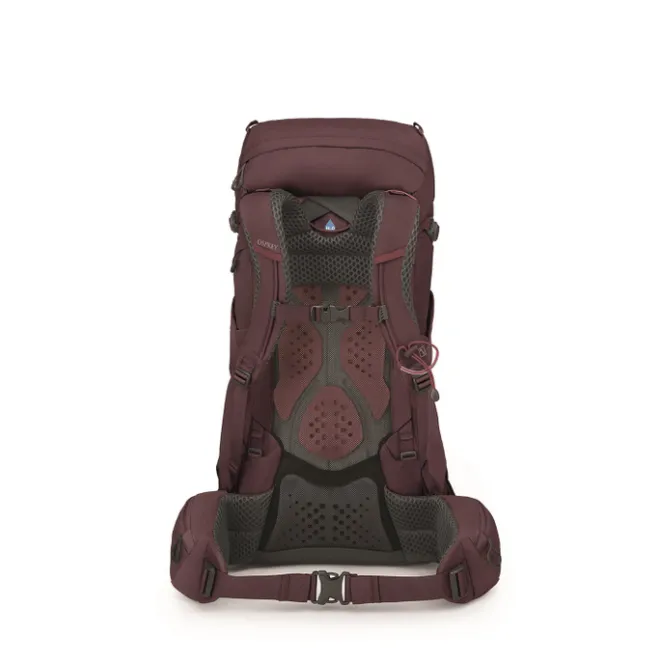 Best Osprey Kyte 38 WM/L elderberry purple