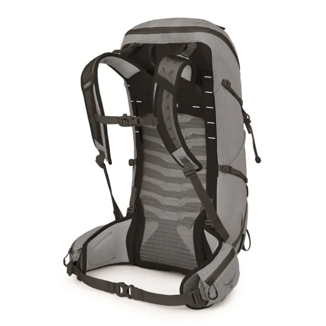 Online Osprey Talon Pro 30 silver lining
