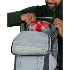 Online Osprey Talon Pro 30 silver lining