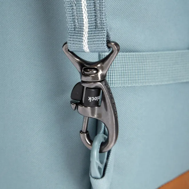 Clearance Pacsafe Go Carry-On Backpack 44L Anti-Theft fresh mint