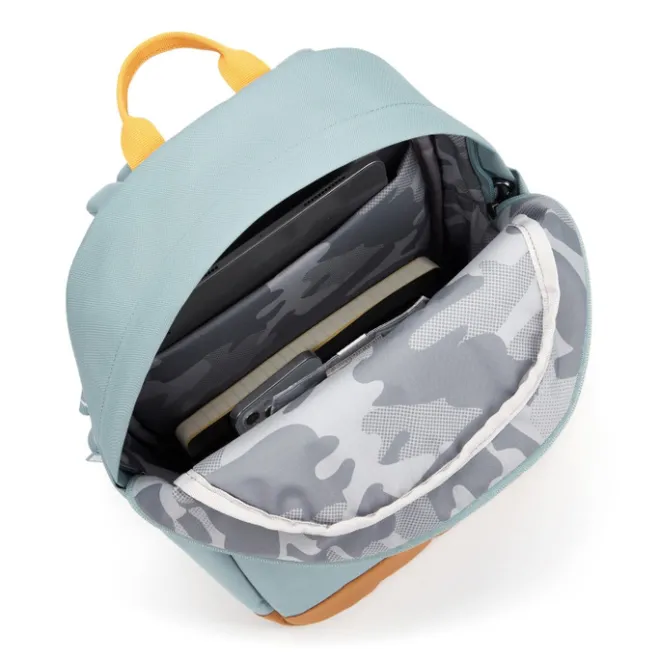 Best Pacsafe Go 15L Backpack Anti-Theft fresh mint