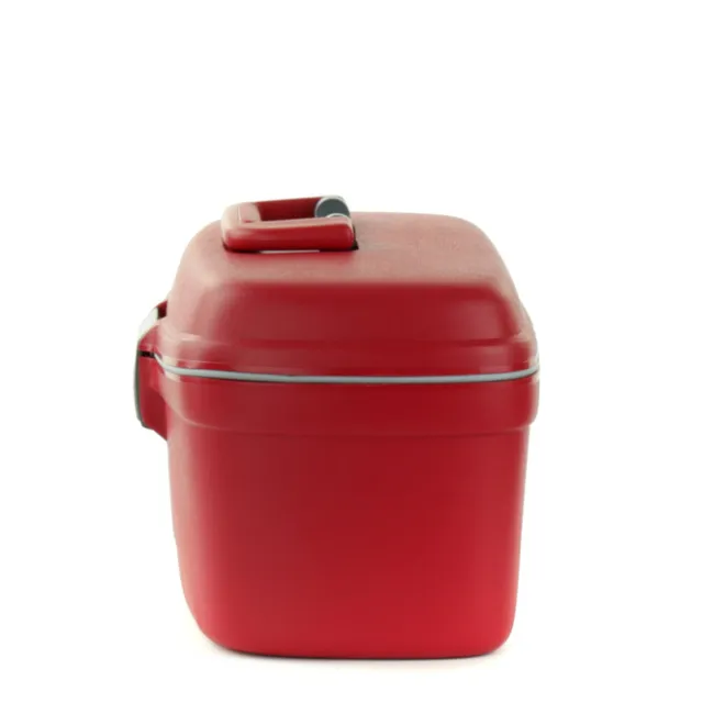 Sale Roncato Beauty Small Beauty Case rood