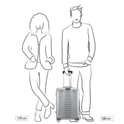Hot Samsonite Proxis Alu Spinner 55 aluminium