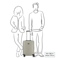 Clearance Titan Litron Frame 4 Wheel Trolley S champagne