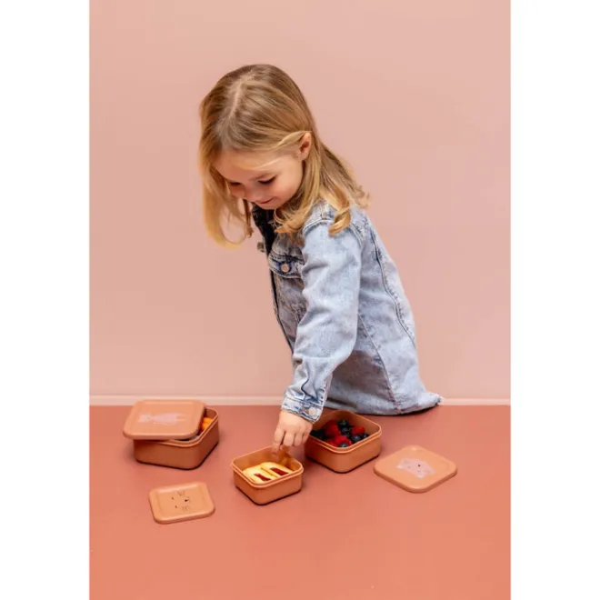 Online Trixie Mrs. Cat Snackbox 3pc old pink